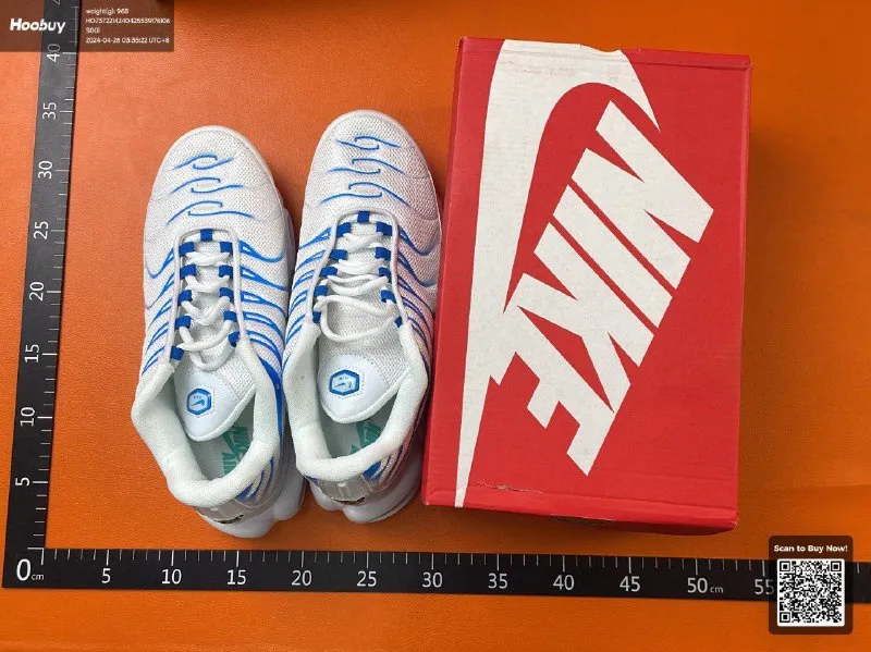 Nike Air Max TN - Image 1