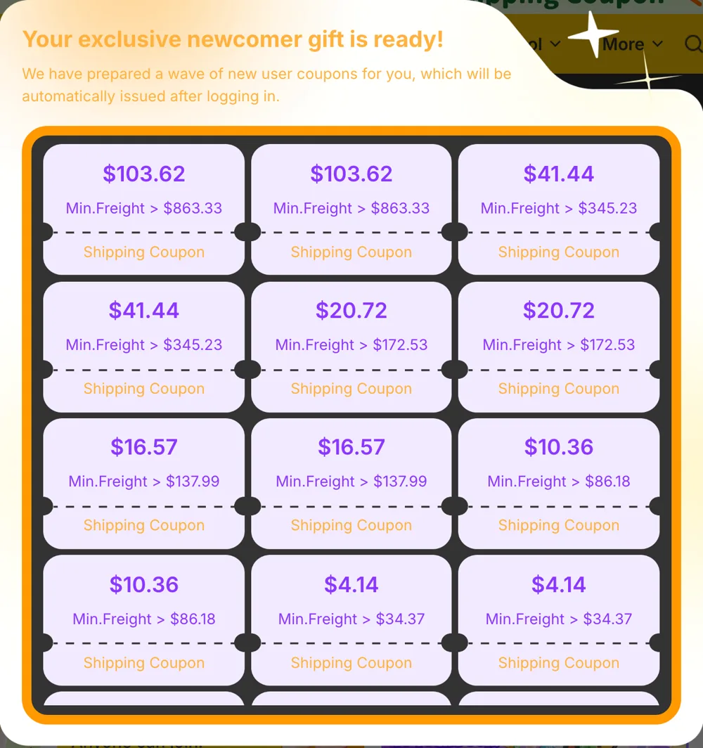 LitBuy newcomer gift pop-up listing shipping coupons with minimum freight amounts, shown in US dollars